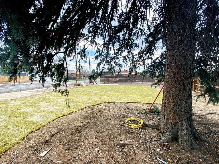 Huge newly landscaped backyard!