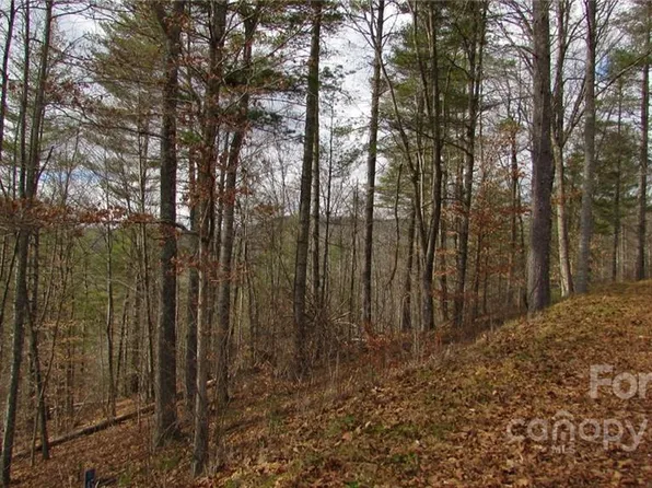 0 High Peak Dr #48, Burnsville, NC 28714