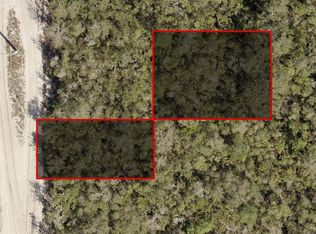 Riegel Ave Lot 25, Orange City, FL 32763