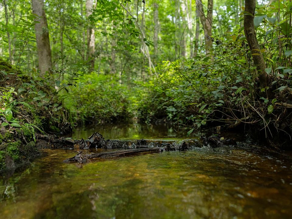 1st image of Truesdale Rd