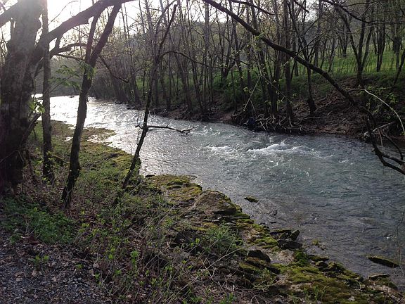 Kids love their private pool. Kayak. Fishing great in area