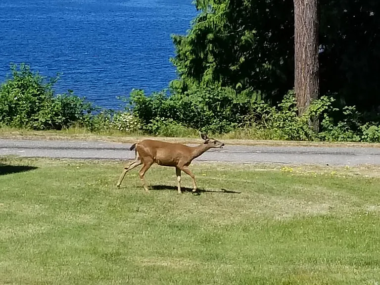Indian Point Ln — Photo 16