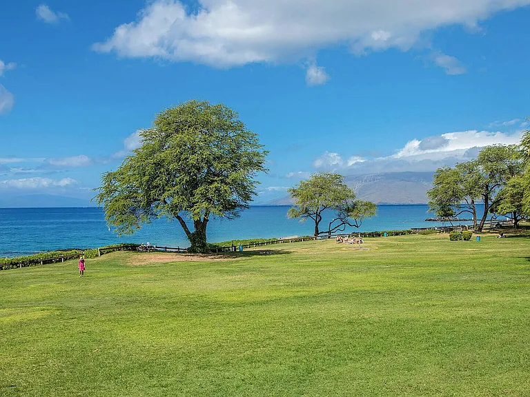 S Kihei Rd — Photo 46