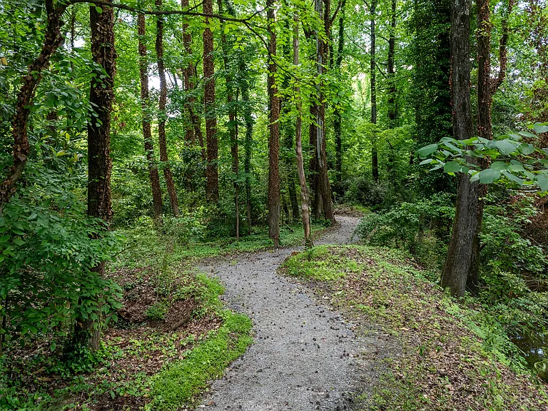 Community nature trail near woodland dog park
