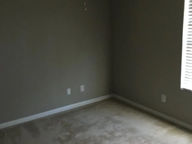 257 Hampshire Downs Dr — Photo 14