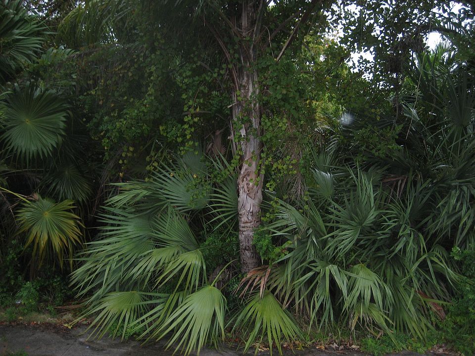 2nd image of 545 Broward Avenue