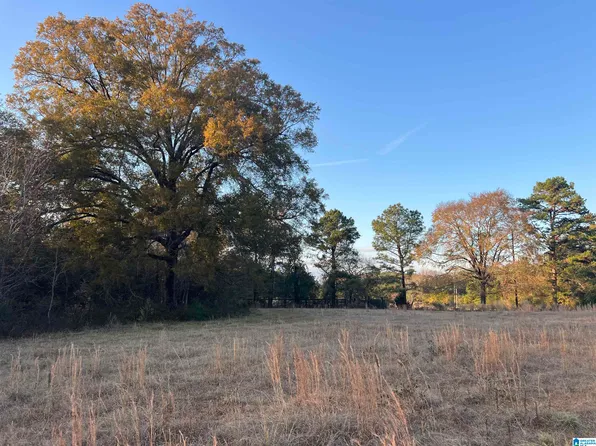 Riser Mill Rd, Alpine, AL 35014