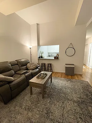 Rented by NY Living Solutions | media 22