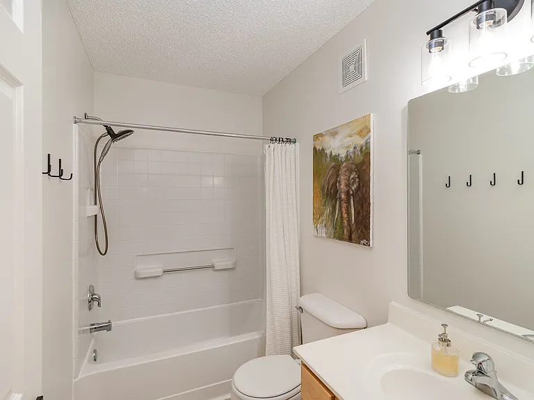 Upstairs shared bath