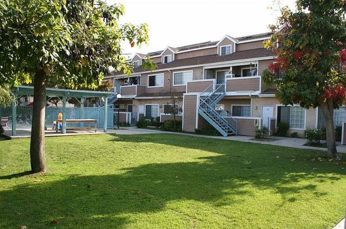 Lawn Area