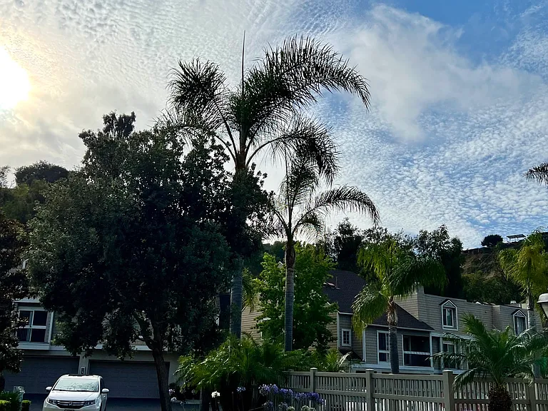 3753 Balboa Ter #D — Photo 15