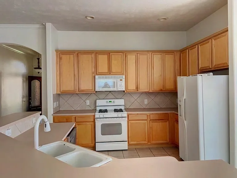 18207 Linden Forest Ln — Photo 18