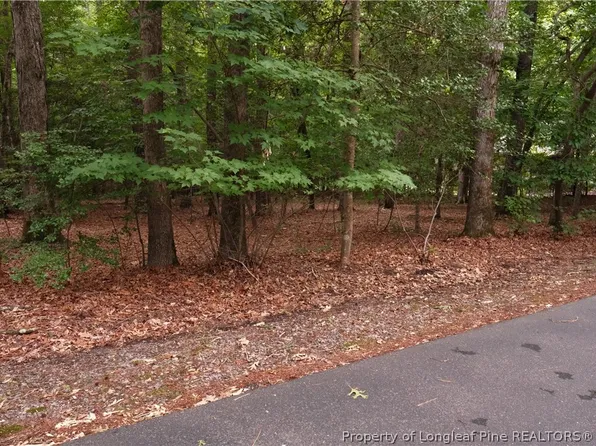 1146 Deerfoot Trl, Sanford, NC 27332