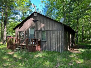 8946 W Elbow Lake Dr, Irons, MI 49644