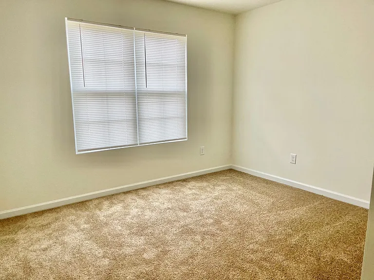 948 Brentwood Park Ln — Photo 32