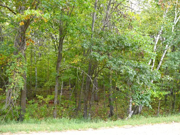 Penny Dr, Browerville, MN 56438