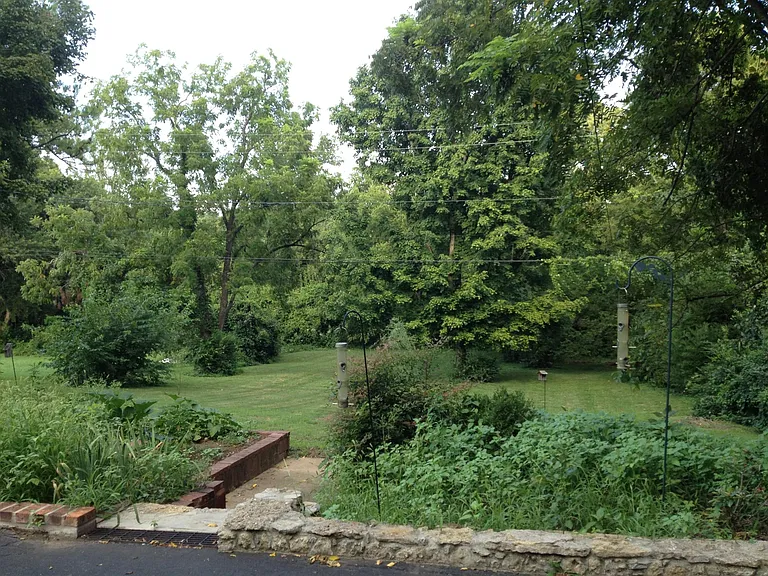 large private backyard