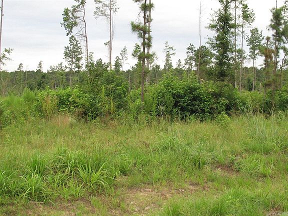 5th image of 0 Columbia County 97.5 Acres