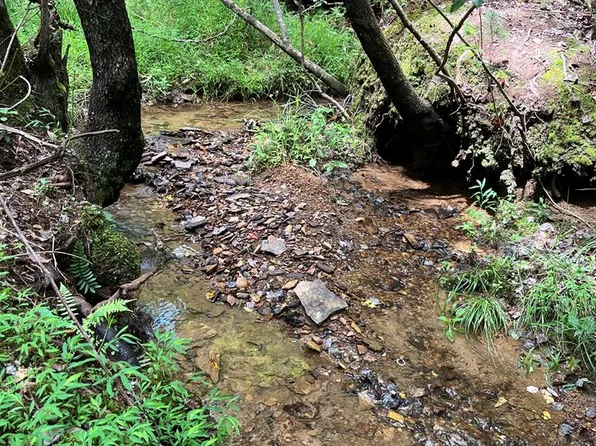 Sheep Knob, Brasstown, NC 28902