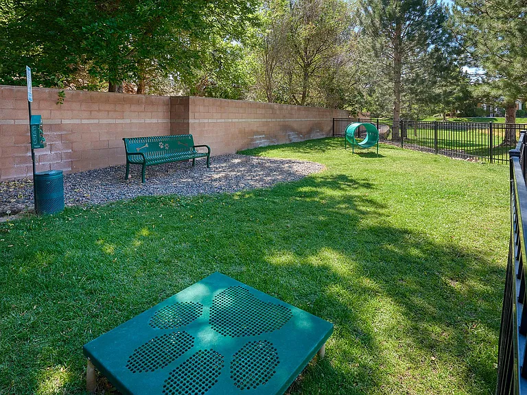 Crestone — Photo 33