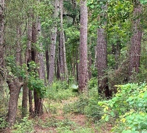 4th image of Tbd Texas Grand Rd