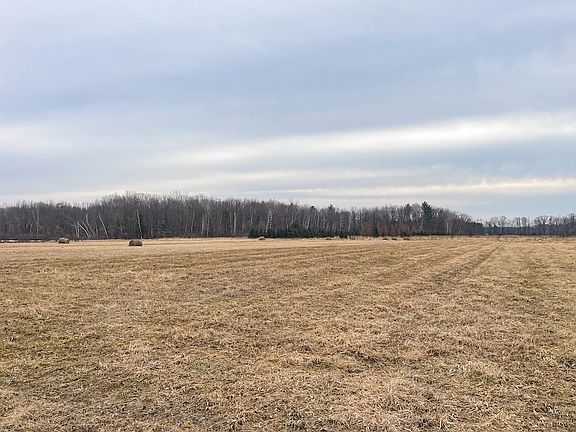 5th image of 11889 Sparks Rd