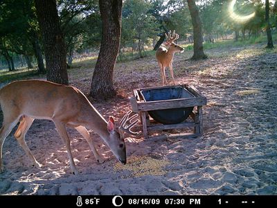 2096 Oakridge Rd, Weimar, TX, 78962