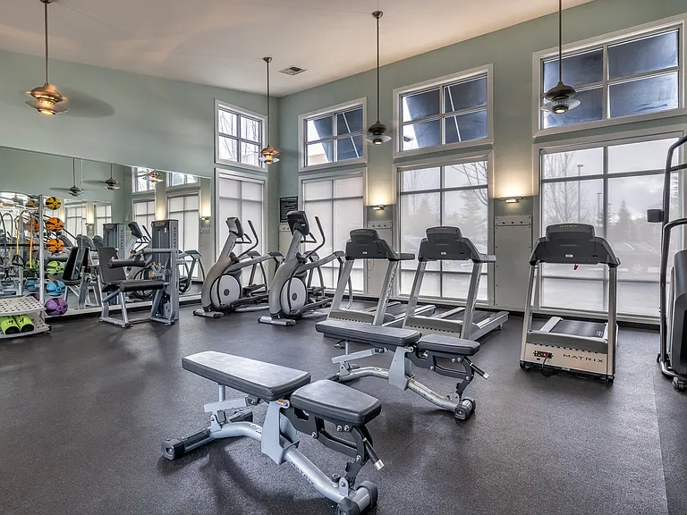 Palladia - Gym