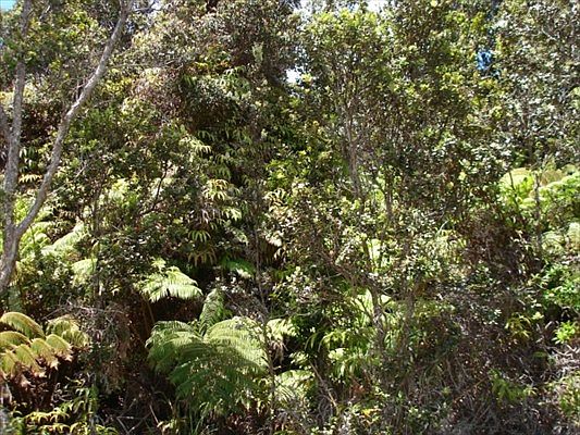 2nd image of Kalaninauli Rd Lot 152