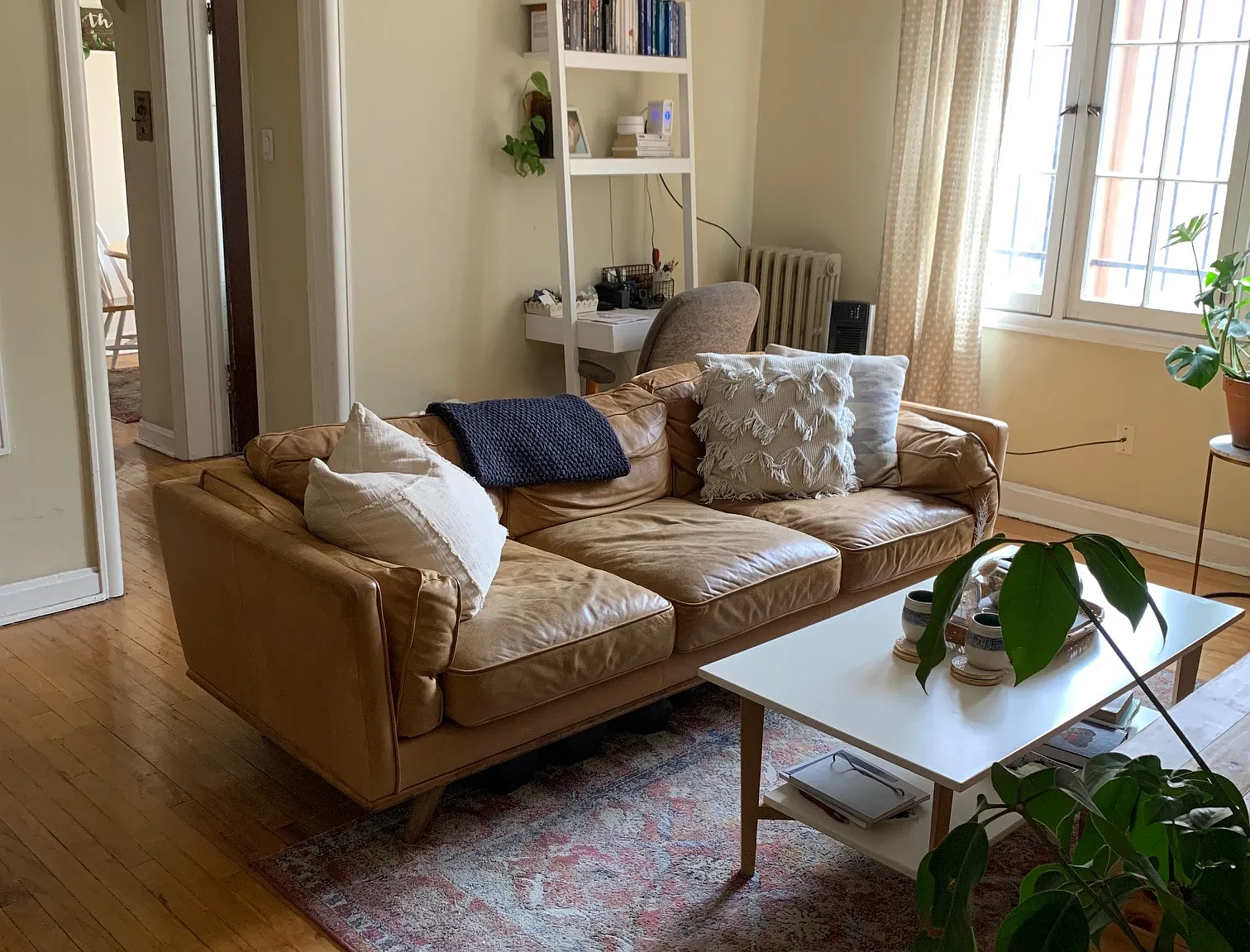 1 bed, 600 sqft, $1,335 — Photo 1
