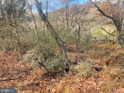 937 Settlers Valley Way, Lost City, WV, 26810