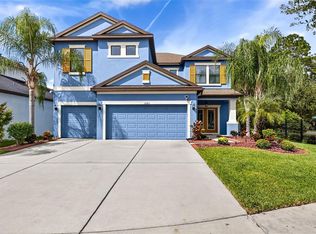 11303 Lazy Hickory Ln, Tampa, FL 33635