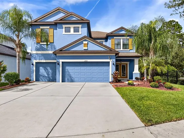 11303 Lazy Hickory Ln, Tampa, FL 33635