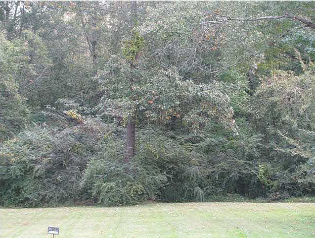 1st image of 0 Lakeshire Cir Lot 29
