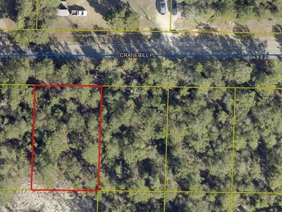 2 Cranebill Pl, Defuniak Springs, FL, 32433