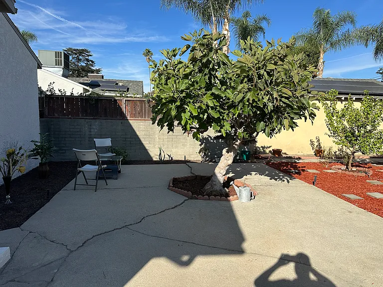 Tiara St — Photo 36
