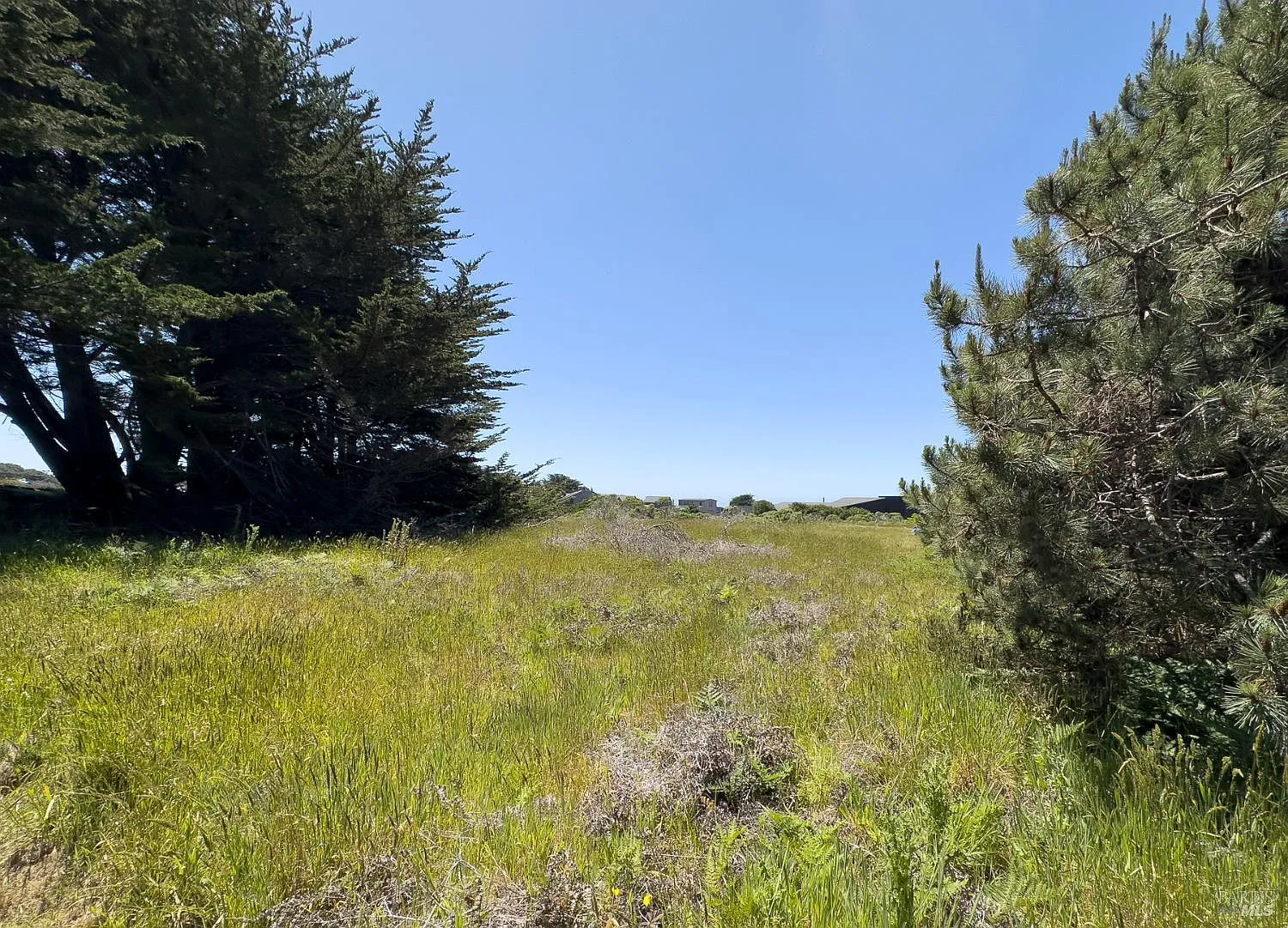 41889 Leeward Road - Photo 3