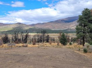 778 Big Valley Rd, Gardnerville, NV 89410