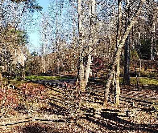 3rd image of 272 Honey Locust Trl