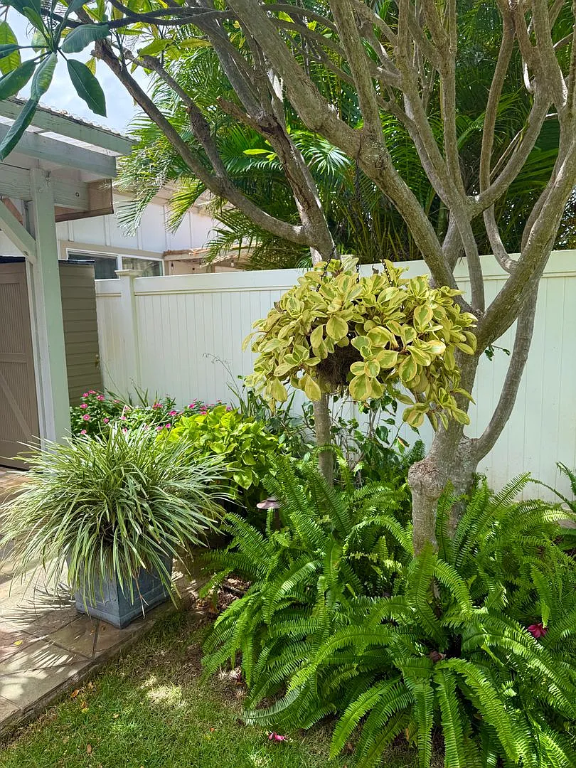 Welcome home to Kehalani Gardens — Photo 2