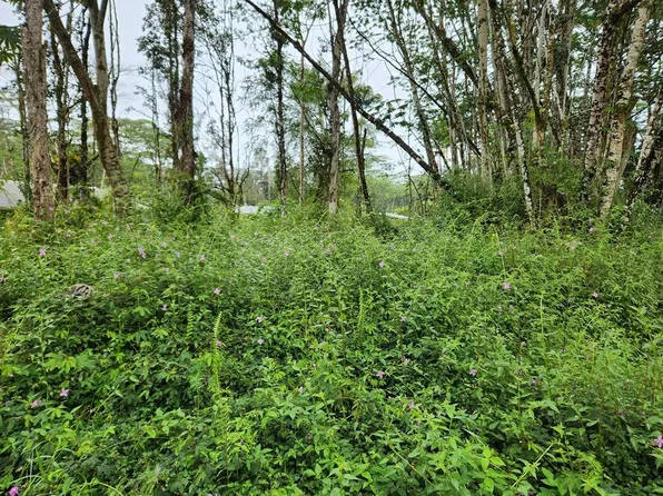 Paradise Rd Lot 238, Pahoa, HI 96778