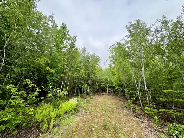 Lot 4 Mt. Jefferson Heights, Lee, ME 04455