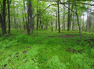 8895 N Comstock Ave, Bitely, MI 49309