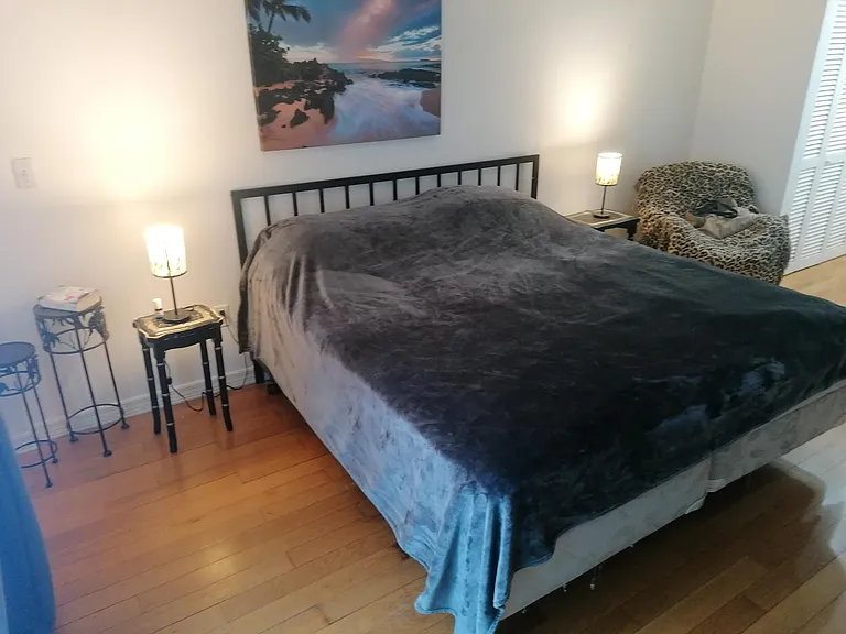 405 N Hibiscus Dr — Photo 10