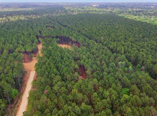 16201 Rustric Ranch Rd, Sour Lake, TX 77659