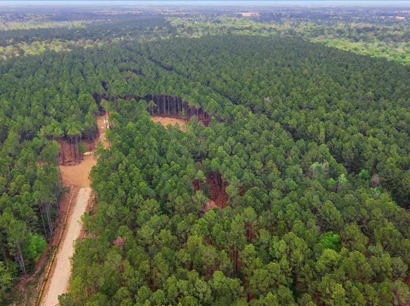 16201 Rustric Ranch Rd, Sour Lake, TX 77659