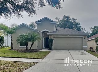 1143 Emerald Hill Way, Valrico, FL 33594