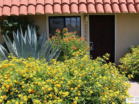 2nd image of 35968 Lindera Ct