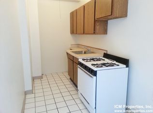 538 W Briar Pl #3RK, Chicago, IL 60657