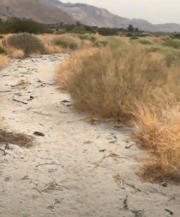 20 B St, Cabazon, CA 92230 Zillow